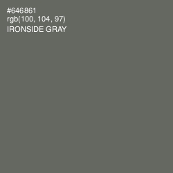#646861 - Ironside Gray Color Image